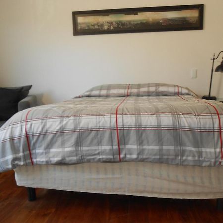 Terraza & Loft San Angel Διαμέρισμα Μεξικό Εξωτερικό φωτογραφία