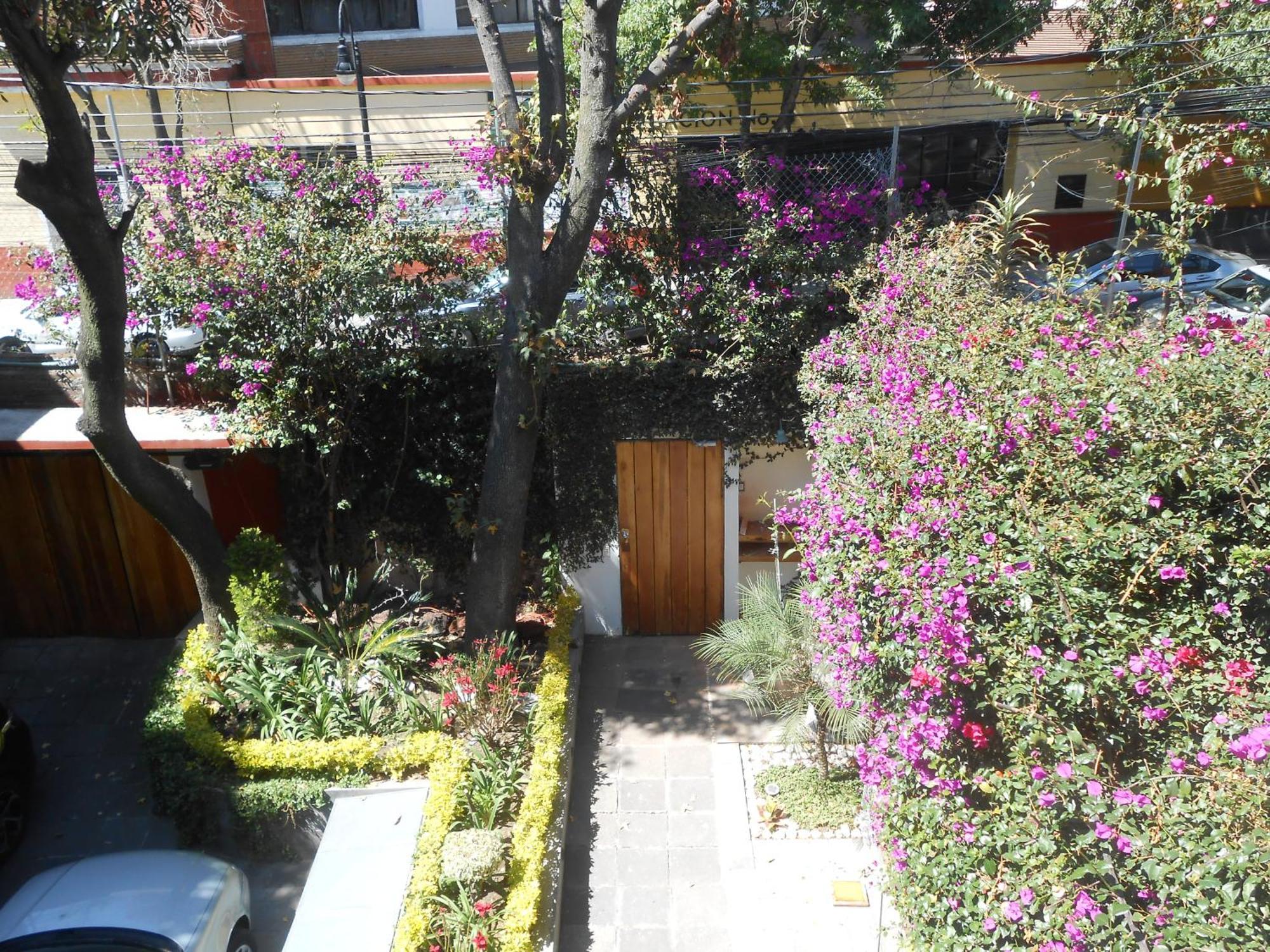 Terraza & Loft San Angel Διαμέρισμα Μεξικό Εξωτερικό φωτογραφία