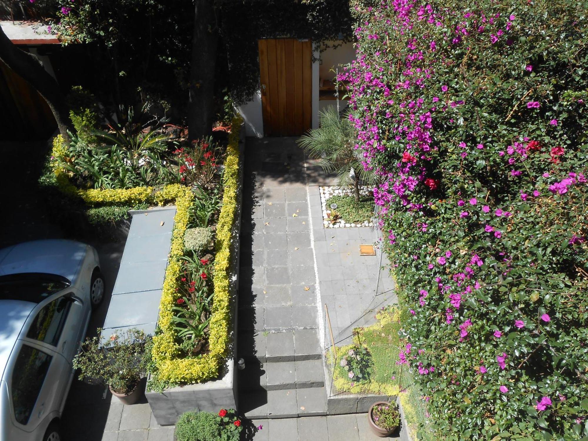 Terraza & Loft San Angel Διαμέρισμα Μεξικό Εξωτερικό φωτογραφία
