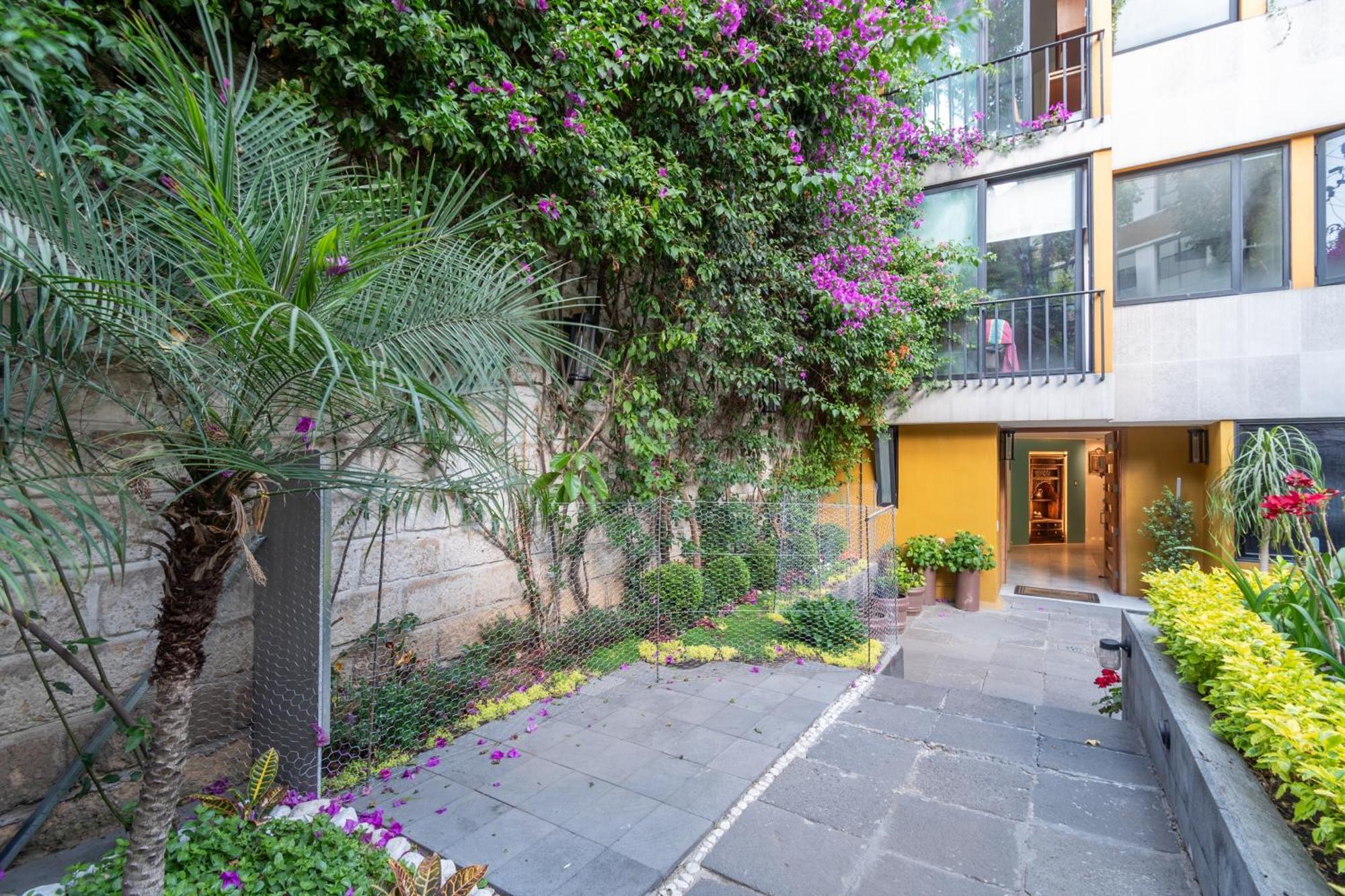 Terraza & Loft San Angel Διαμέρισμα Μεξικό Εξωτερικό φωτογραφία