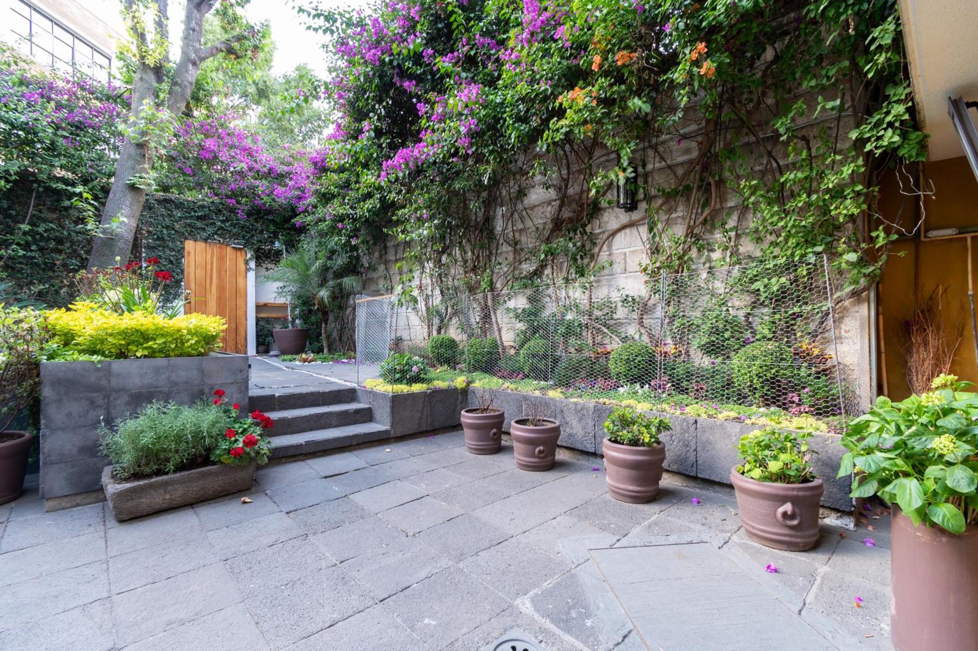 Terraza & Loft San Angel Διαμέρισμα Μεξικό Εξωτερικό φωτογραφία