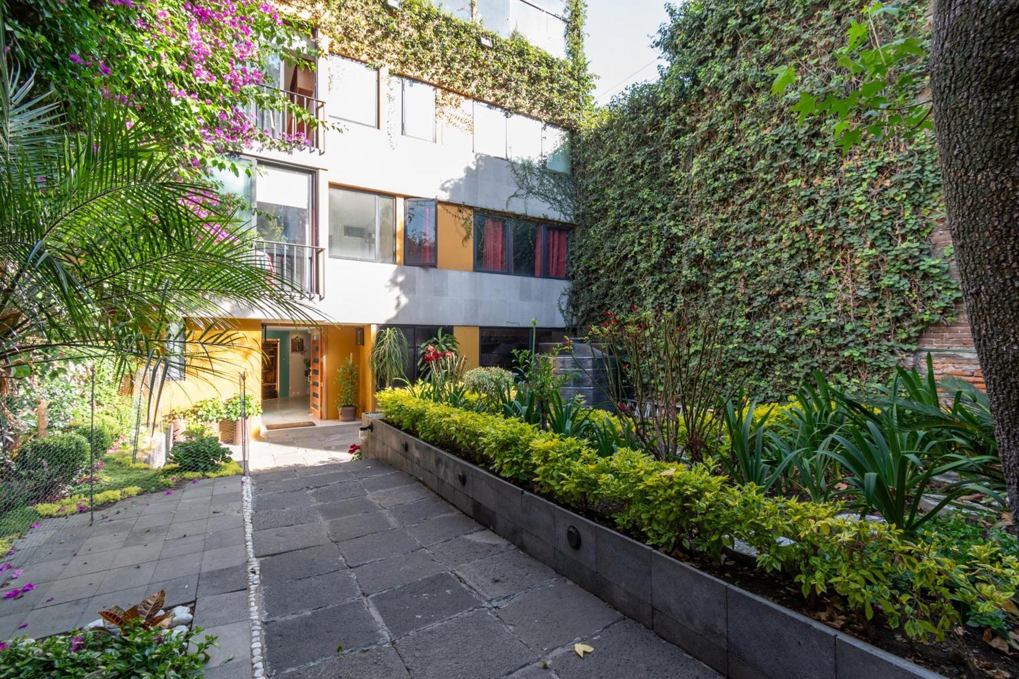 Terraza & Loft San Angel Διαμέρισμα Μεξικό Εξωτερικό φωτογραφία