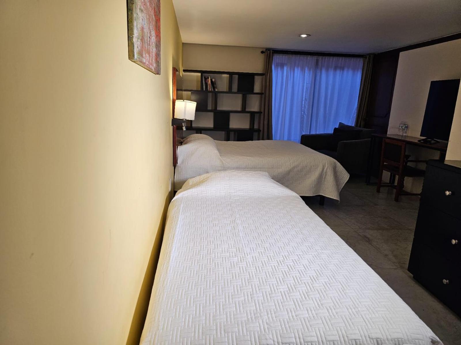 Terraza & Loft San Angel Διαμέρισμα Μεξικό Εξωτερικό φωτογραφία